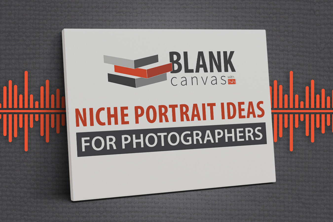 Niche portrait ideas photography business
